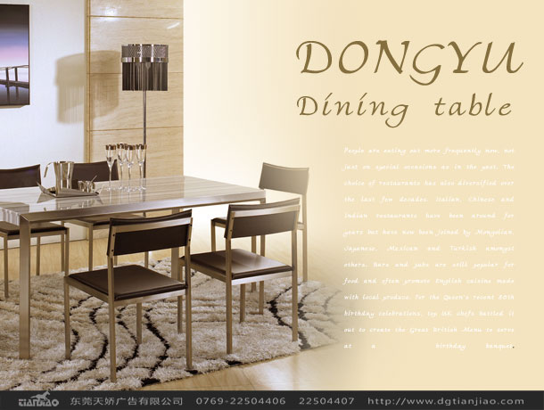 東宇家具畫冊設(shè)計(jì)_時(shí)尚家具畫冊設(shè)計(jì)公司案例-東莞天嬌廣告公司