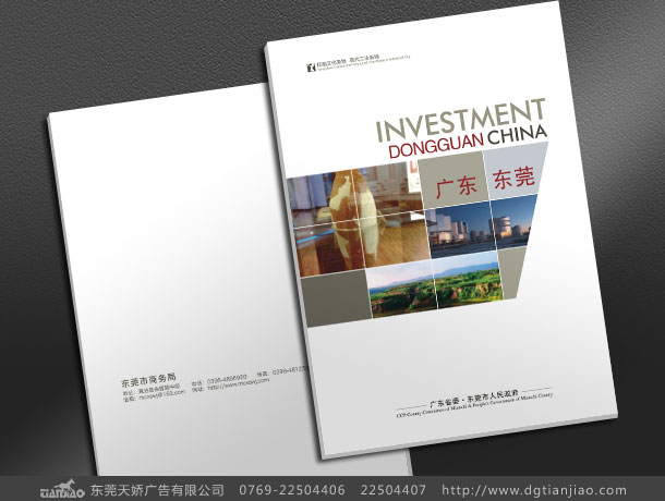 企業(yè)畫冊地產(chǎn)廣告設計