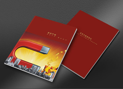銀行宣傳畫(huà)冊(cè)設(shè)計(jì)案例