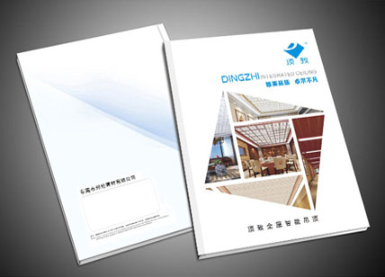 頂致天花宣傳冊設(shè)計(jì)案例欣賞
