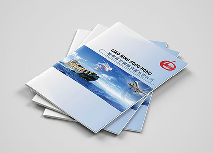 貨運(yùn)公司畫(huà)冊(cè)設(shè)計(jì)制作欣賞