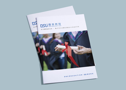 心知語(yǔ)康復(fù)治療畫冊(cè)設(shè)計(jì)案例