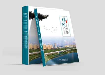 政府畫冊(cè)設(shè)計(jì)案例欣賞