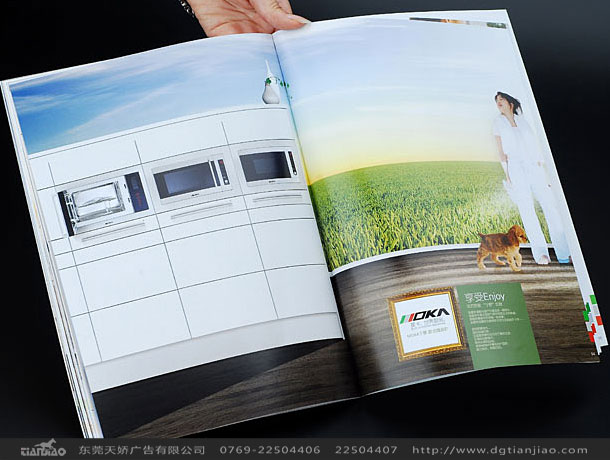 東莞平面設(shè)計(jì)、東莞型錄設(shè)計(jì)