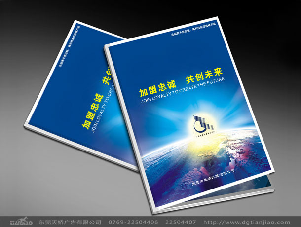 標志設計、東莞招商手冊設計、目錄設計