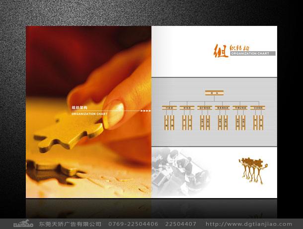 會計事務(wù)所彩頁設(shè)計、會計事務(wù)所廣告設(shè)計