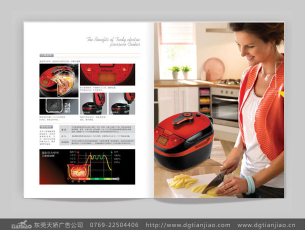 家電電飯鍋畫冊設(shè)計(jì)印刷