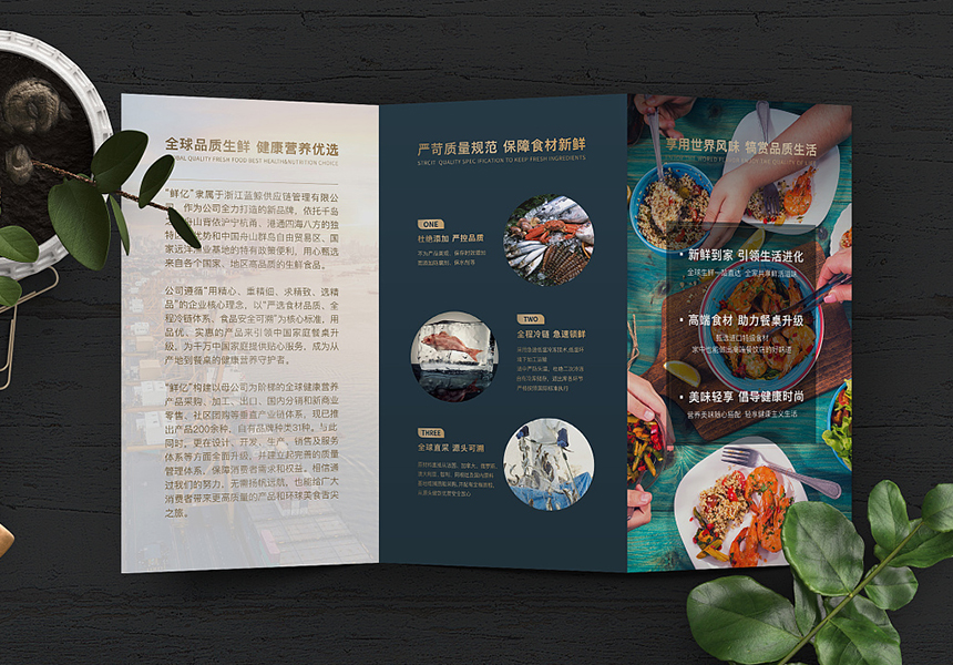 鮮億供應(yīng)鏈管理公司折頁(yè)設(shè)計(jì)制作