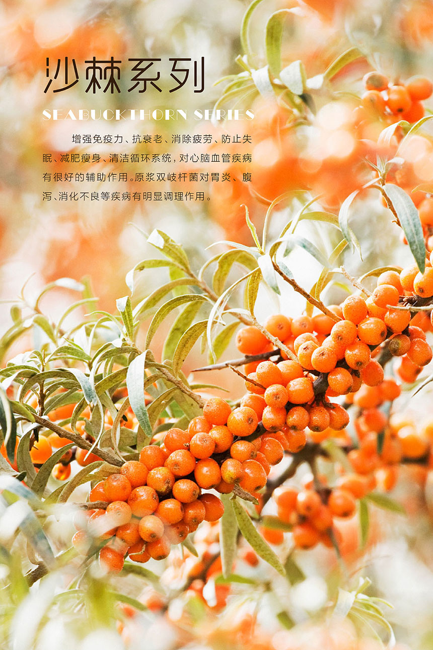 新鮮水果海報設(shè)計制作