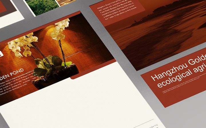 東莞餐飲品牌海報(bào)設(shè)計(jì)怎么吸引客戶？為什么要找專業(yè)設(shè)計(jì)公司合作？