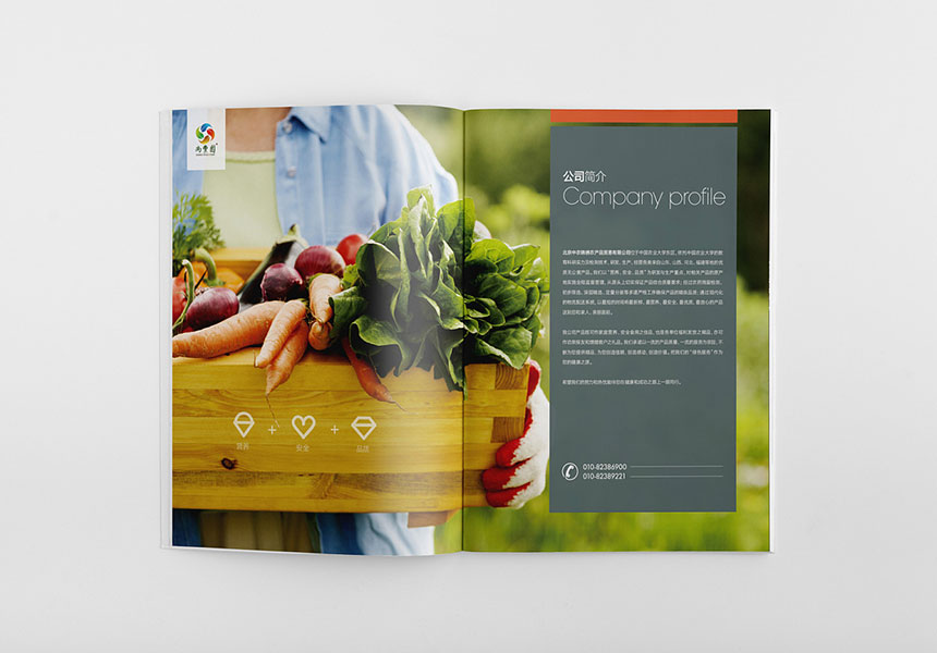 畫冊設(shè)計內(nèi)容多的五種排版方法教你做企業(yè)宣傳畫冊