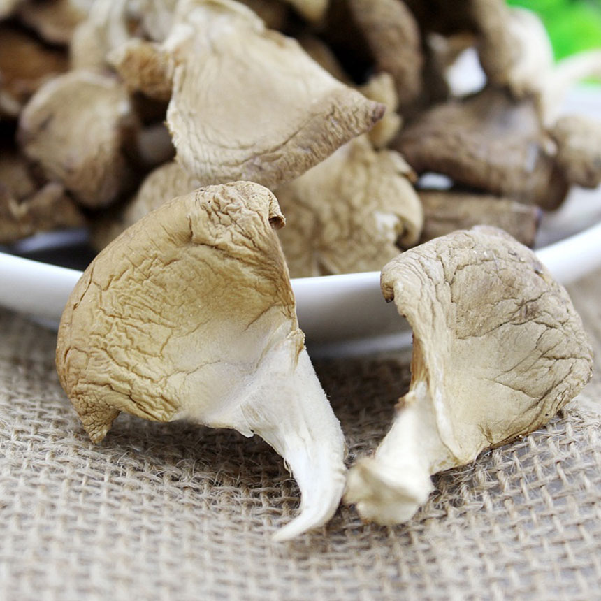 東莞攝影公司 東莞攝影公司