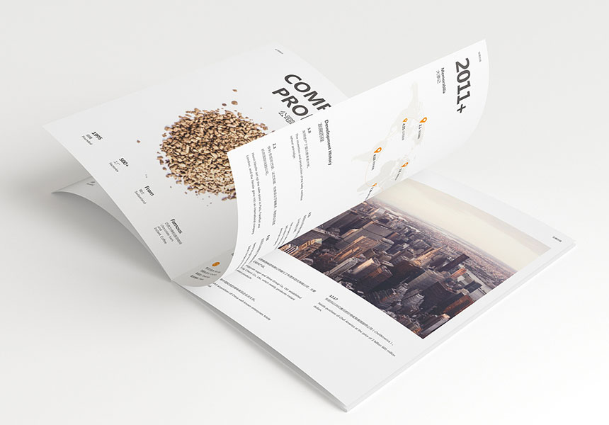 給新手剛開(kāi)始做宣傳冊(cè)設(shè)計(jì)的三點(diǎn)方法和建議