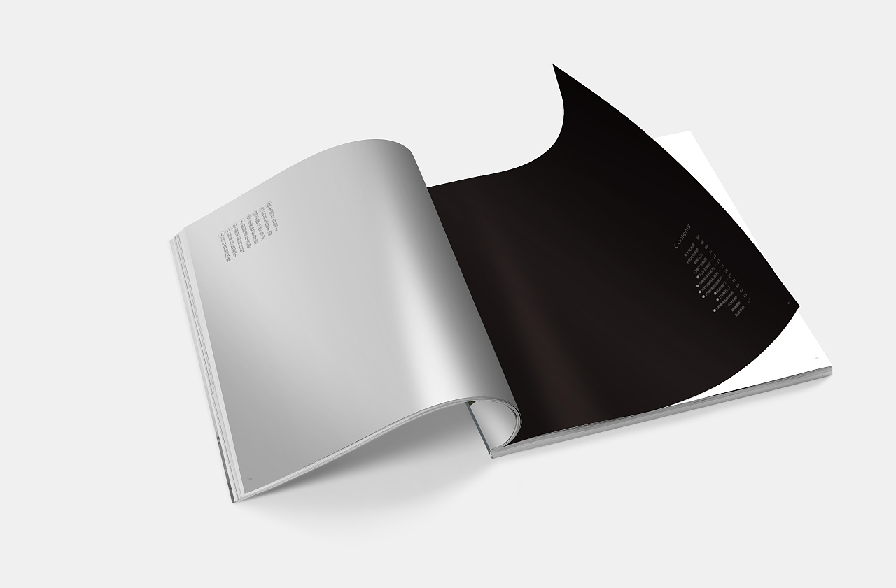 揚(yáng)州畫冊(cè)設(shè)計(jì)公司選天嬌-專注企業(yè)畫冊(cè)設(shè)計(jì)30年 揚(yáng)州畫冊(cè)設(shè)計(jì)公司選天嬌-專注企業(yè)畫冊(cè)設(shè)計(jì)30年